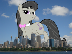 Size: 1632x1224 | Tagged: safe, artist:kooner-cz, artist:thegiantponyfan, octavia melody, earth pony, pony, g4, australia, female, giant octavia melody, giant pony, giant/macro earth pony, giantess, highrise ponies, irl, macro, mare, photo, ponies in real life, sydney