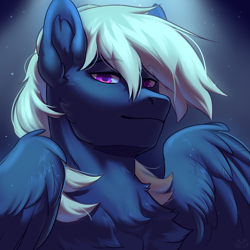 Size: 2300x2300 | Tagged: safe, artist:alkatoster, oc, oc only, oc:moon shield, pegasus, pony, bust, high res, male, solo, stallion