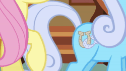 Size: 1920x1080 | Tagged: safe, screencap, fluttershy, linky, shoeshine, earth pony, pegasus, pony, g4, putting your hoof down, season 2, animated, butt, butt touch, duo, duo female, female, mare, plot, sound, webm, you know for kids