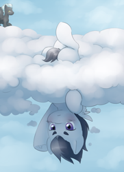 Size: 3629x5000 | Tagged: safe, artist:aquoquoo, rumble, thunderlane, pegasus, pony, g4, absurd resolution, blushing, brothers, cloud, colt, duo, duo male, male, on a cloud, rumble is not amused, siblings, solo focus, stallion, stuck, stuck in a cloud, unamused, upside down