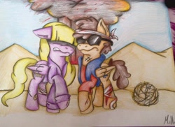 Size: 960x699 | Tagged: safe, alternate version, artist:milledpurple, pegasus, pony, colored, dipcifica, dipper pines, female, frown, gravity falls, hair over eyes, male, mare, non-mlp shipping, pacifica northwest, ponified, raised hoof, shipping, stallion, straight, sunglasses, traditional art, tumbleweed, wings