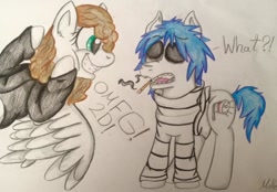 Size: 960x668 | Tagged: safe, artist:milledpurple, pegasus, pony, cig, clothes, duo, female, gorillaz, grin, male, mare, ponified, signature, smiling, smoking, stallion, surprised, traditional art, wings
