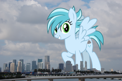 Size: 2102x1398 | Tagged: safe, artist:cheezedoodle96, artist:thegiantponyfan, edit, rainy day, pegasus, pony, g4, female, florida, giant pegasus, giant pony, giantess, highrise ponies, irl, macro, mare, mega giant, miami, photo, ponies in real life