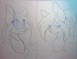 Size: 2226x1709 | Tagged: safe, artist:donnie-moon, oc, oc only, earth pony, pony, bust, duo, earth pony oc, frown, lineart, signature, smiling, traditional art