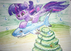 Size: 2136x1535 | Tagged: safe, artist:stewart501st, twilight sparkle, alicorn, pony, seapony (g4), shark, g4, my little pony: the movie, bubble, dorsal fin, female, fin wings, fish tail, flowing mane, flowing tail, horn, ocean, purple eyes, seaponified, seapony twilight, seashell, simple background, smiling, solo, species swap, swimming, tail, traditional art, twilight sparkle (alicorn), underwater, water, white background, wings