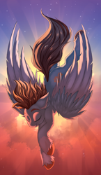 Size: 1654x2850 | Tagged: safe, artist:ask-colorsound, oc, oc only, oc:carbon, pegasus, pony, blue eyes, brown mane, colored wings, eyes closed, falling, male, multicolored wings, pegasus oc, shading, sky, solo, spread wings, stallion, sun, unshorn fetlocks, wings