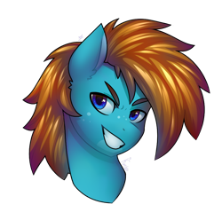Size: 838x832 | Tagged: safe, artist:magicstarfriends, oc, oc only, oc:carbon, pegasus, pony, brown mane, cute, freckles, grin, male, pegasus oc, simple background, smiling, solo, transparent background