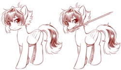 Size: 1897x1093 | Tagged: safe, artist:aogami, oc, oc only, oc:sticker, pegasus, pony, male, solo, stallion, sword, weapon