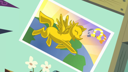 Size: 1280x720 | Tagged: safe, screencap, flight to the finish, g4, season 4, background, bedroom, flower, horseshoes, liminal space, no pony, pennant, planet, poster, scenic ponyville, wall