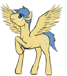 Size: 800x900 | Tagged: safe, alternate version, artist:multiverseequine, derpibooru exclusive, oc, oc only, oc:skylight, pegasus, pony, colored, daybreak island, full body, looking up, male, pegasus oc, raised hoof, simple background, solo, spread wings, stallion, tail, transparent background, wings