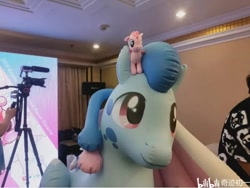 Size: 720x540 | Tagged: safe, oc, oc:lyre wave, inflatable pony, china, indoors, inflatable, inflatable toy, irl, matte, opaque inflatable, photo, qingdao brony festival, standing, wrinkles