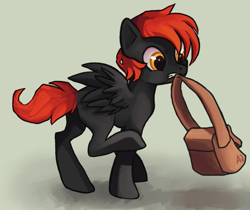 Size: 611x514 | Tagged: safe, artist:dashleigh, oc, oc only, pegasus, pony, bag, pegasus oc, solo, wings