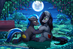 Size: 3814x2598 | Tagged: safe, artist:pridark, oc, oc only, oc:kaaskiller, oc:vyden, earth pony, pony, beautiful, bench, cloud, commission, cutie mark, duo, female, full moon, high res, lake, male, marriage proposal, moon, oc x oc, open mouth, scenery, scenery porn, shipping, sitting, sky, straight, tree