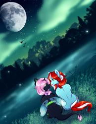 Size: 2480x3188 | Tagged: safe, artist:wild-fluff, oc, oc:oculus, oc:pepper mint, changeling, earth pony, pony, commission, couple, detailed background, high res, looking at each other, married couple, moon, oc x oc, shipping