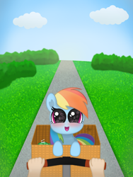 Size: 1500x2000 | Tagged: safe, artist:limitmj, rainbow dash, tank, human, pegasus, pony, g4, basket, bicycle, blushing, cloud, cute, dashabetes, female, grass, hand, looking at you, mare, open mouth, toy, tree