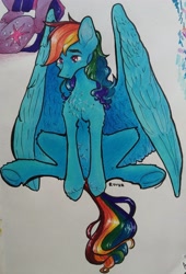 Size: 2327x3419 | Tagged: safe, artist:rover, artist:rrrover, rainbow dash, pegasus, pony, a dog and pony show, g4, curly hair, cute, high res, large wings, sitting, solo, traditional art, wings
