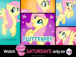 Size: 1600x1200 | Tagged: safe, fluttershy, butterfly, pegasus, pony, g4, official, cute, female, hub logo, my little pony logo, only on the hub, pony history, shyabetes, the hub