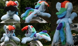 Size: 3368x2000 | Tagged: safe, artist:bastler, rainbow dash, pegasus, pony, g4, high res, irl, photo, plushie, solo, sunglasses