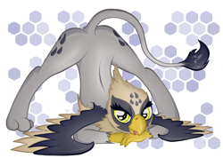 Size: 752x536 | Tagged: safe, artist:virenth, oc, oc only, oc:nova, griffon, abstract background, beak, face down ass up, female, griffon oc, jack-o challenge, looking at you, meme, raised tail, solo, spread legs, spread wings, spreading, tail, wings