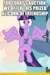 Size: 500x742 | Tagged: safe, edit, edited screencap, screencap, iron will, twilight sparkle, alicorn, minotaur, pony, g4, once upon a zeppelin, auction, caption, carrying, cropped, female, holding a pony, image macro, solo focus, spread wings, text, twilight sparkle (alicorn), wings