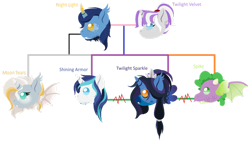 Size: 1280x720 | Tagged: safe, artist:gaianknightalpha, night light, shining armor, spike, twilight sparkle, twilight velvet, oc, oc:moon tears, alicorn, bat pony, bat pony alicorn, bat pony unicorn, hybrid, pony, unicorn, g4, adopted offspring, bat wings, family tree, female, half-siblings, horn, male, offspring, parent:night light, parent:unnamed oc, parents:canon x oc, race swap, ship:nightvelvet, shipping, simple background, straight, transparent background, wings