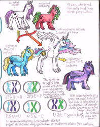 Size: 862x1096 | Tagged: safe, artist:jayrockin, princess celestia, twilight sparkle, alicorn, earth pony, pegasus, pony, unicorn, tiny sapient ungulates, g4, genetic engineering, genetics, text, twilight sparkle (alicorn)