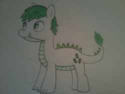 Size: 1600x1200 | Tagged: safe, artist:miss-barker, oc, oc only, oc:emerald shine, dracony, hybrid, interspecies offspring, male, offspring, parent:rarity, parent:spike, parents:sparity, solo, traditional art