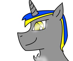 Size: 1200x1000 | Tagged: safe, artist:goldlines005, oc, oc only, pony, unicorn, bust, chest fluff, horn, simple background, smiling, solo, unicorn oc, white background