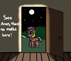 Size: 959x822 | Tagged: safe, artist:neuro, pony, door, female, guardsmare, mare, mare in the moon, moon, royal guard, talking to viewer