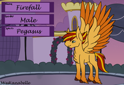 Size: 4199x2880 | Tagged: safe, artist:misskanabelle, oc, oc only, oc:firefall, pegasus, pony, chest fluff, hoof fluff, male, outdoors, pegasus oc, reference sheet, solo, stallion, two toned wings, wings