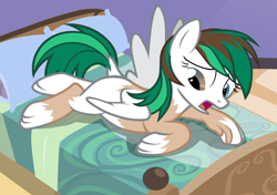 Size: 1092x767 | Tagged: safe, artist:anonymous, oc, oc only, oc:zephyr, pegasus, pony, fanfic:zephyr, /ptfg/, bed, blank flank, brown hair, dock, female, human to pony, indoors, mare, mid-transformation, on bed, open mouth, show accurate, solo, tail growth, transformation, wing growth, wings