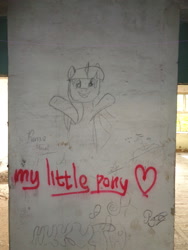 Size: 1944x2592 | Tagged: safe, twilight sparkle, pony, g4, graffiti, hug, irl, monochrome, photo, smiling, solo