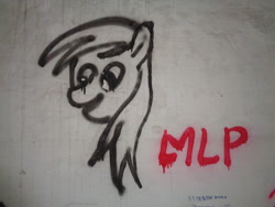 Size: 2592x1944 | Tagged: safe, derpy hooves, pony, g4, graffiti, irl, monochrome, photo, solo