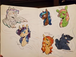 Size: 4032x3024 | Tagged: safe, artist:bestbithe15th, oc, oc only, oc:blush, oc:northern lights, oc:sparkling flame, oc:spring lily, oc:stormy waters, oc:zia, earth pony, pegasus, pony, unicorn, bust, horn, pegasus oc, traditional art, unicorn oc