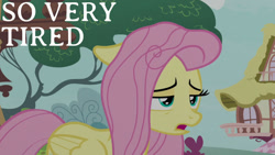 Size: 1280x720 | Tagged: safe, edit, edited screencap, editor:quoterific, screencap, fluttershy, pegasus, pony, g4, season 8, yakity-sax, female, floppy ears, mare, messy mane, open mouth, solo, tired