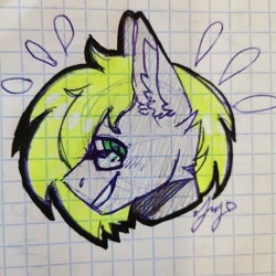 Size: 1079x1080 | Tagged: safe, artist:*silk*, oc, oc only, oc:ludwig von leeb, pegasus, pony, glasses, graph paper, male, solo, stallion, traditional art