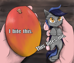 Size: 1500x1292 | Tagged: safe, artist:chopsticks, oc, oc only, oc:echo, bat pony, human, pony, bat pony oc, cheek fluff, cute, ear fluff, eyebrows, eyebrows visible through hair, fangs, female, food, fruit, hand, in goliath's palm, mango, mare, ponified animal photo, smiling, solo, text, that batpony sure does love mangoes, tiny, tiny ponies, unshorn fetlocks