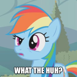Size: 500x500 | Tagged: safe, edit, edited screencap, screencap, rainbow dash, earth pony, pony, g4, the return of harmony, caption, confused, cropped, cute, dashabetes, earth pony rainbow dash, female, image macro, imgflip, mare, solo, text