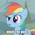 Size: 500x500 | Tagged: safe, edit, edited screencap, screencap, rainbow dash, earth pony, pony, g4, the return of harmony, caption, confused, cropped, cute, dashabetes, earth pony rainbow dash, female, image macro, imgflip, mare, solo, text