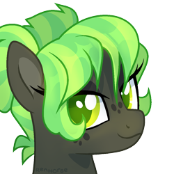 Size: 1000x1000 | Tagged: safe, artist:renhorse, oc, oc only, oc:rockfeather, earth pony, pony, bust, female, mare, portrait, simple background, solo, transparent background