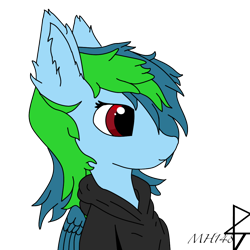 Size: 1000x1000 | Tagged: safe, artist:mh148, oc, oc only, oc:mystic rain, hybrid, pegasus, pony, bust, clothes, ear fluff, hoodie, simple background, solo, transparent background