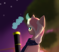 Size: 2700x2400 | Tagged: safe, artist:valthonis, oc, oc only, pony, unicorn, blurry background, clothes, glasses, high res, night, scarf, stars, telescope