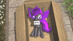 Size: 1920x1080 | Tagged: safe, artist:christian69229, oc, oc only, oc:moonlight thunder, bat pony, pony, 3d, bat pony oc, box, cardboard box, fangs, letter, looking at you, male, pony in a box, solo, source filmmaker, stallion
