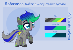 Size: 2164x1496 | Tagged: safe, artist:2pandita, oc, oc only, pegasus, pony, colt, male, reference sheet, solo, two toned wings, wings