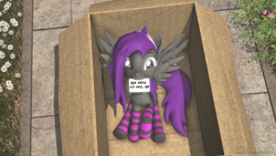 Size: 1920x1080 | Tagged: safe, artist:christian69229, oc, oc only, oc:fritzy, pegasus, pony, 3d, box, cardboard box, clothes, female, letter, looking at you, mare, pegasus oc, pony in a box, socks, solo, source filmmaker, spread wings, striped socks, wings