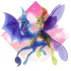 Size: 900x900 | Tagged: safe, artist:nivimonster, princess ember, thorax, changedling, changeling, dragon, g4, changeling x dragon, female, interspecies, king thorax, lidded eyes, male, ship:embrax, shipping, simple background, straight, transparent background