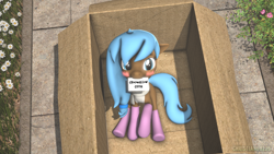 Size: 1920x1080 | Tagged: safe, artist:christian69229, oc, oc only, oc:iva, earth pony, pony, 3d, blushing, box, cardboard box, clothes, female, letter, looking at you, mare, pony in a box, scarf, socks, solo, source filmmaker