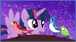 Size: 5421x3049 | Tagged: safe, artist:starcollider, twilight sparkle, alicorn, bird, blue jay, pony, g4, absurd resolution, crossover, crossover shipping, female, flying, implied mordecai, implied straight, looking at each other, male, meme, mordecai, mordetwi, night, open mouth, redraw mordetwi meme, regular show, shipping, stars, straight, twilight sparkle (alicorn), vector