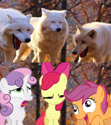 Size: 800x900 | Tagged: safe, edit, edited screencap, editor:torpy, screencap, apple bloom, scootaloo, sweetie belle, earth pony, pegasus, pony, unicorn, wolf, g4, comparison, cutie mark crusaders, female, filly, laughing wolves meme, meme