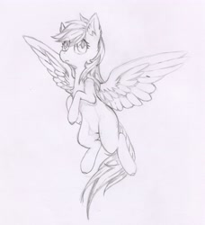 Size: 3822x4186 | Tagged: safe, artist:foxtrot3, oc, oc:light winds, pegasus, pony, flying, monochrome, pencil drawing, solo, traditional art